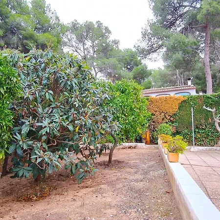 ヴィラ Agaves Piscina Y Barbacoa *